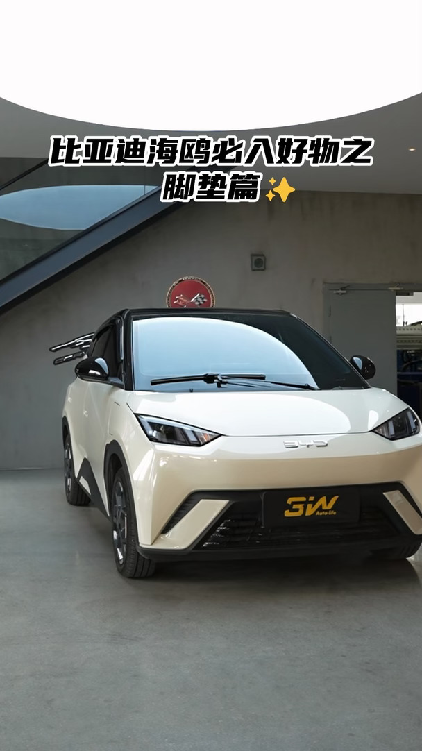 有娃家庭必入无异味好清洗的3W汽车脚垫专家