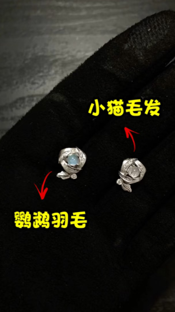 沉浸式｜把鹦鹉和小猫的毛毛，设计成耳钉！