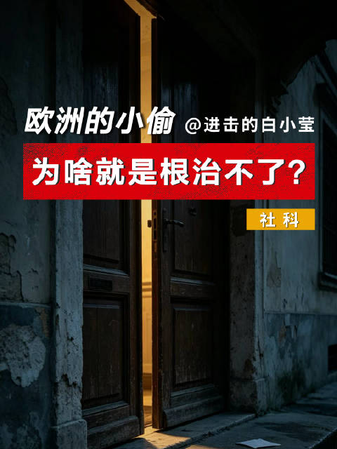【欧洲的小偷，为啥就是根治不了】
