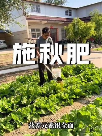 发酵豆粕有机肥改良土壤促生根花卉果蔬都通用