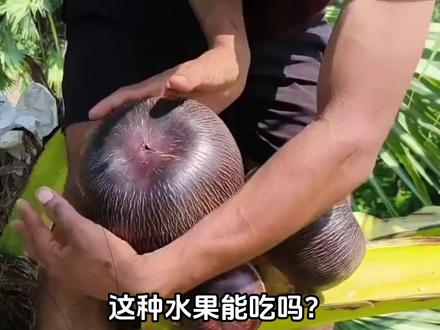 这种水果能吃吗？