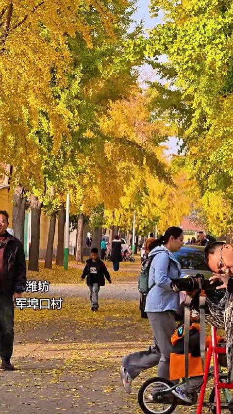 #大眼去旅行[超话]#  接下来的军埠口村是这个样子的   ​​​