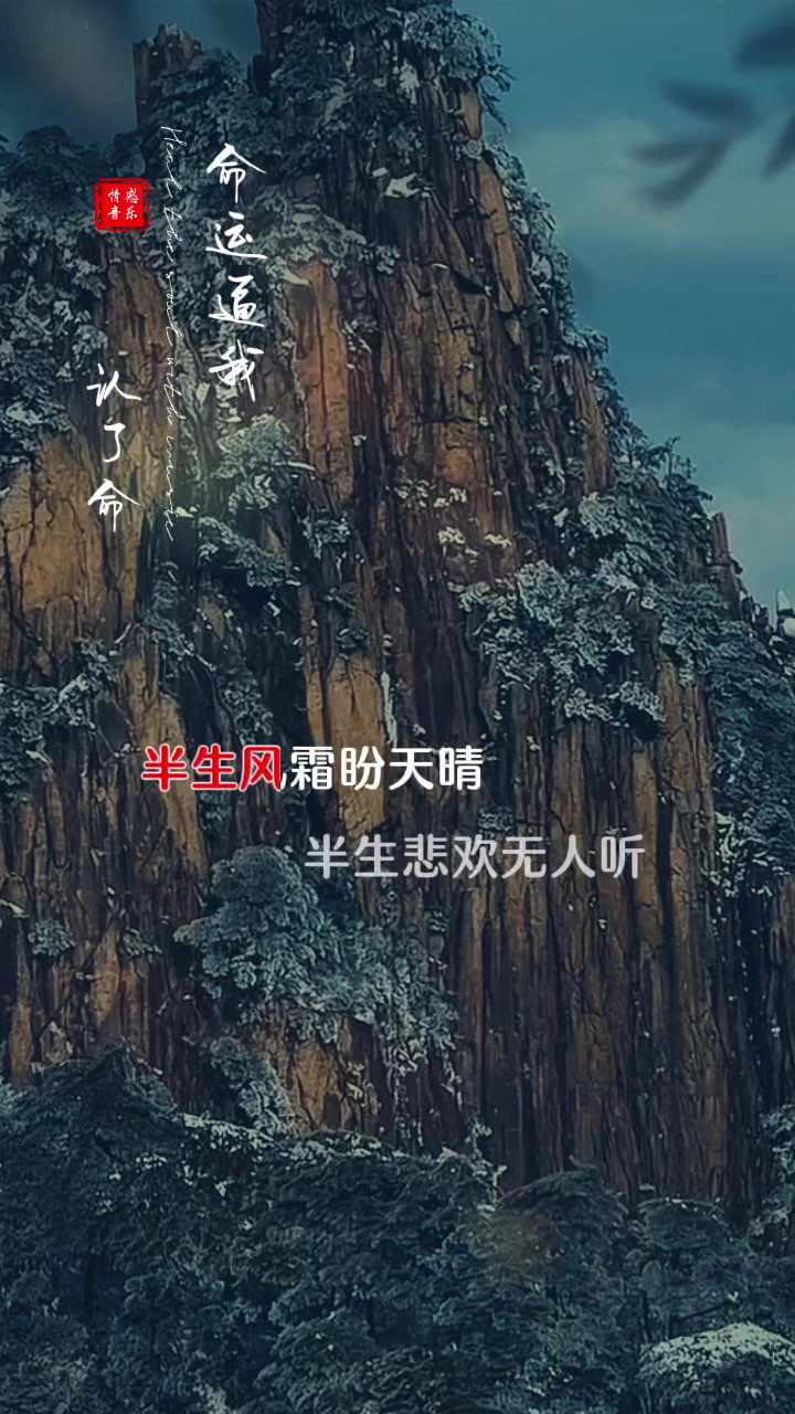 我把苦酒叹平生 不解心中意难平