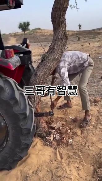 三哥有点智慧