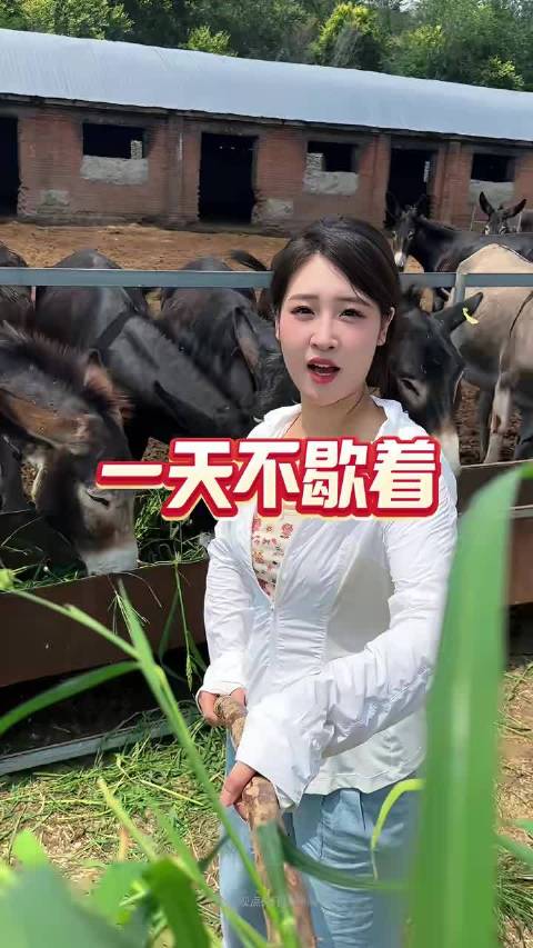 赚不赚钱无所谓，工作自己来分配