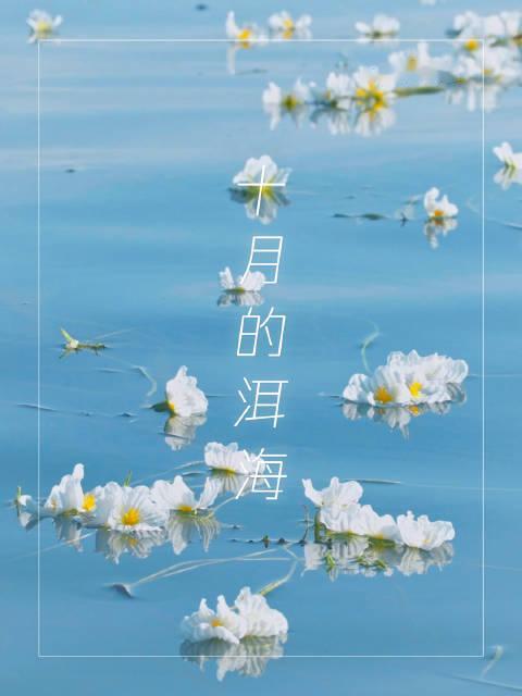 【治愈！#洱海的海菜花越来越多了#】#这是我们的宝藏云南# 10月的云南大理，洱海碧波荡漾，成片海菜