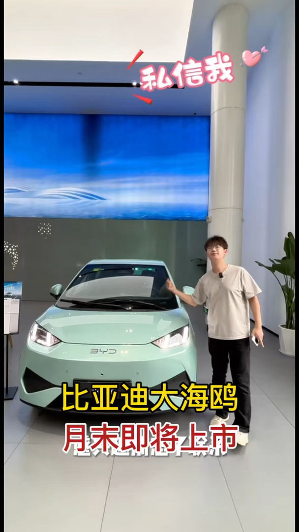比亚迪海鸥