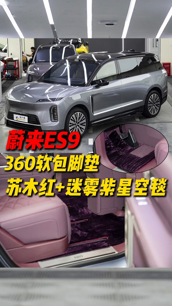 蔚来ES9 迷雾紫星空毯+原车同色苏木红脚垫
