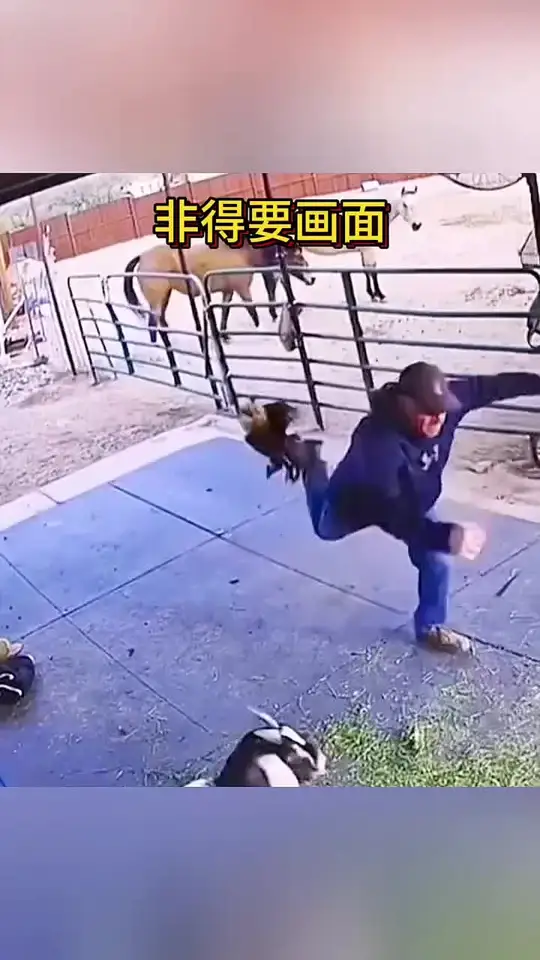 非得要画面