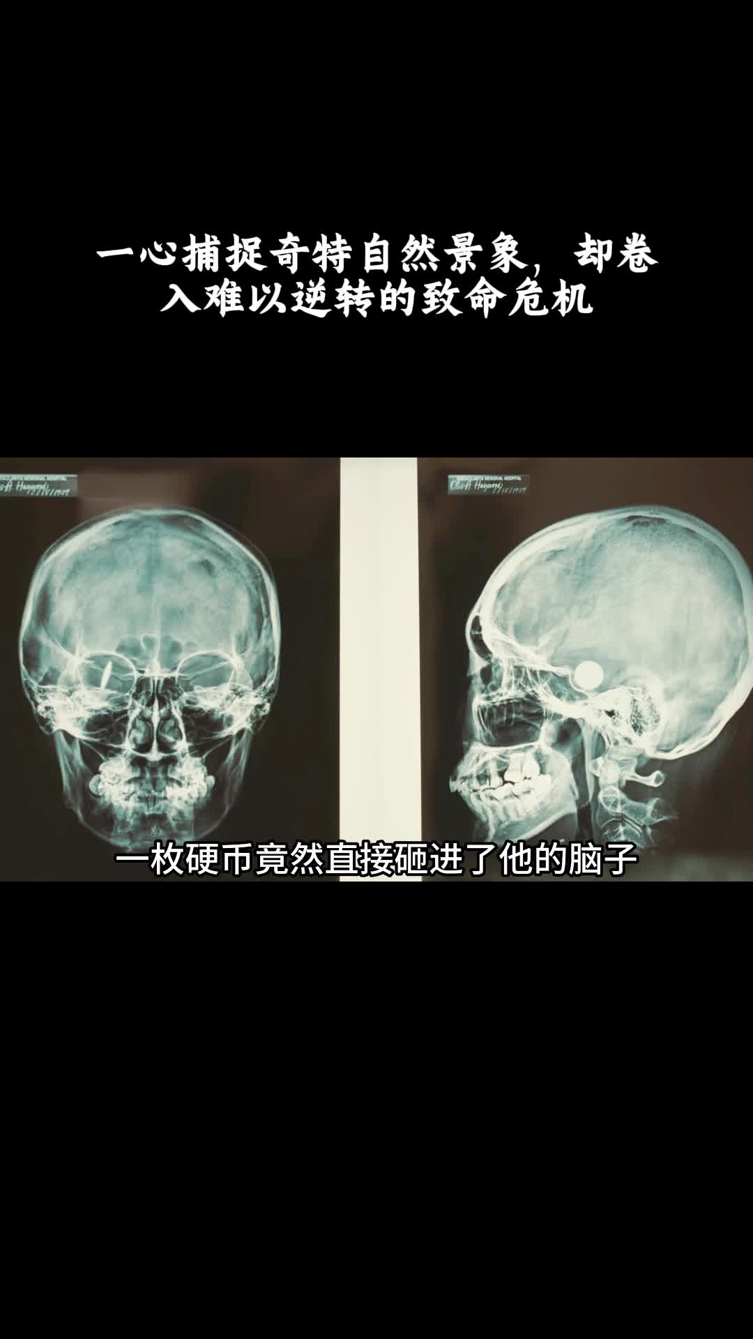 不：一心捕捉奇特自然景象，却卷入难以逆转的致命危机