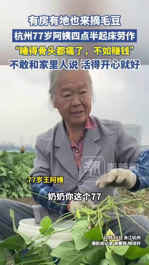 【#女子朋友圈招工摘毛豆来了200多人#】  在杭州钱塘区临江街道萧东村包地种毛豆的徐彩娣有些想不通