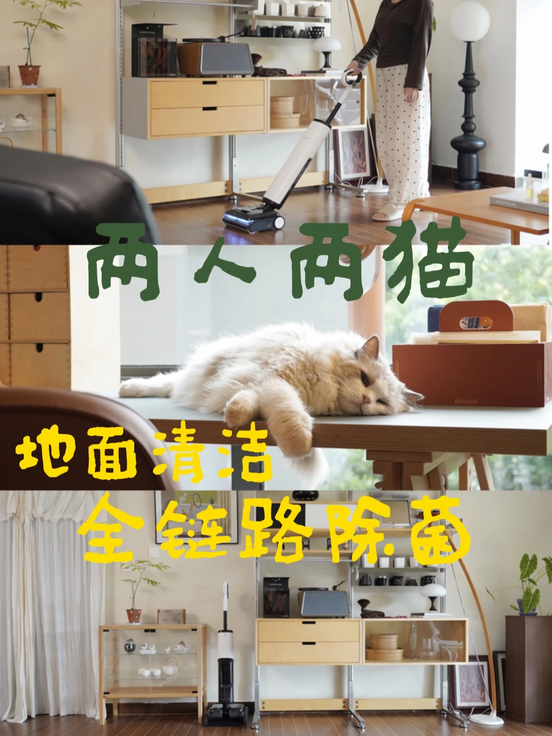 170平树景房｜两人两猫的地面清洁日常🐈