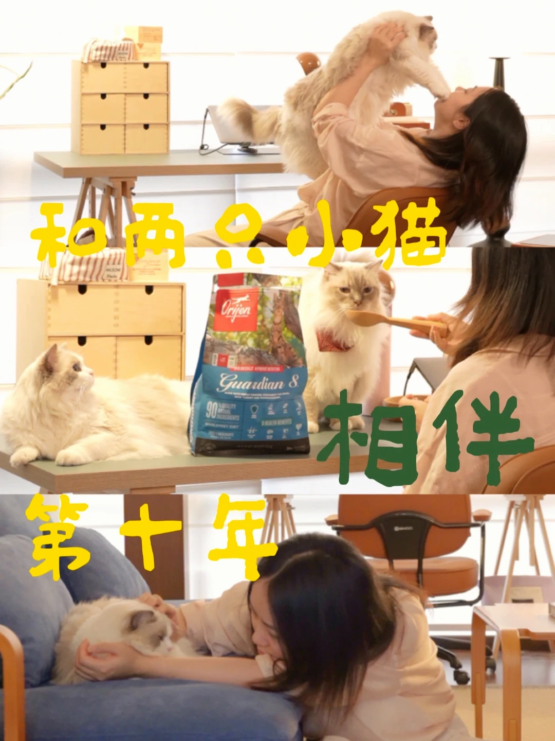 170平树景房｜我和两只小猫相伴的第10年