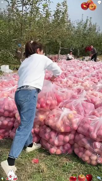 当季脆甜红富士苹果 产地直发新鲜美味