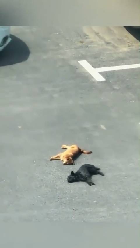 原来天才摄影这么多呀  ​​​