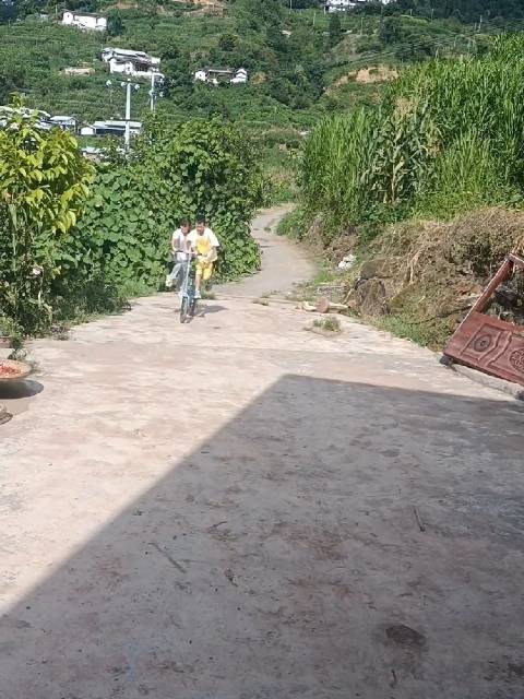 四川凉山，一位妈妈发来视频表示，自己刚摘完桑叶回家，就看到姐姐和弟弟在展示新学会的双人骑单车技能，更