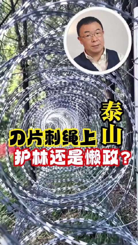 #泰山拉网圈山用力过猛##泰山建起135公里刀片刺绳隔离网##别让刀片隔离网伤了景区气度##三分钟视