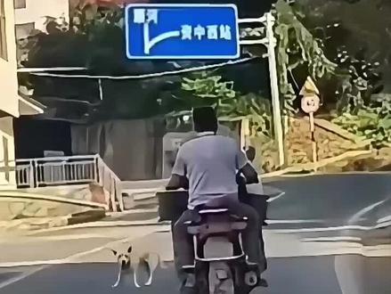 狗狗真的生气了