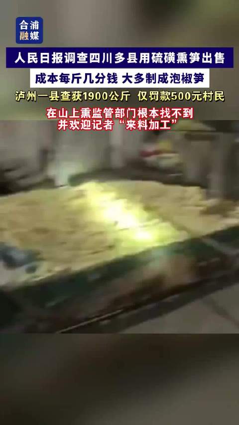 #四川马边查封硫磺笋原料及产品#用硫磺熏笋出售 成本每斤几分钱