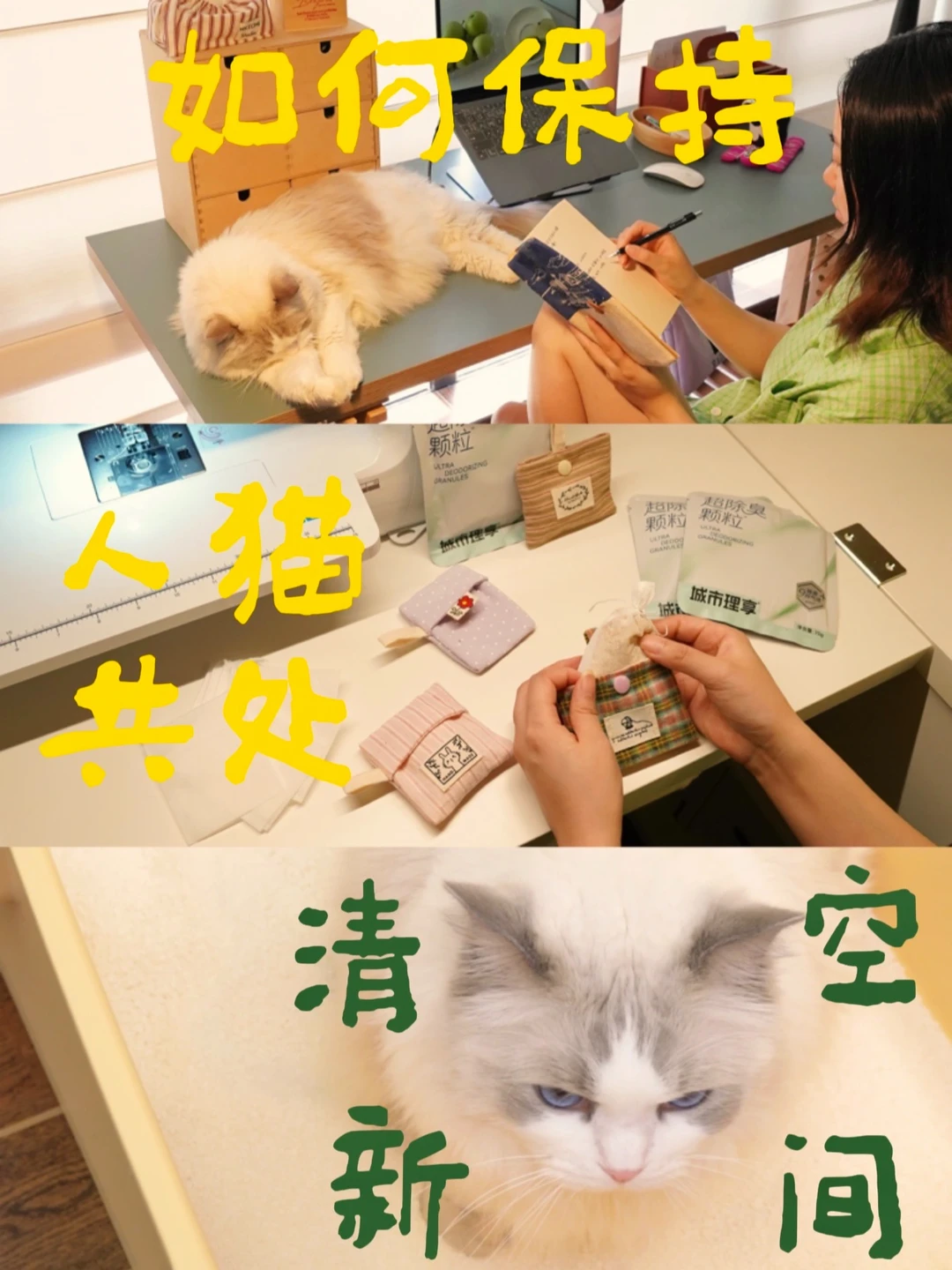 自制除味香包｜打造人猫共处无异味空间🏠