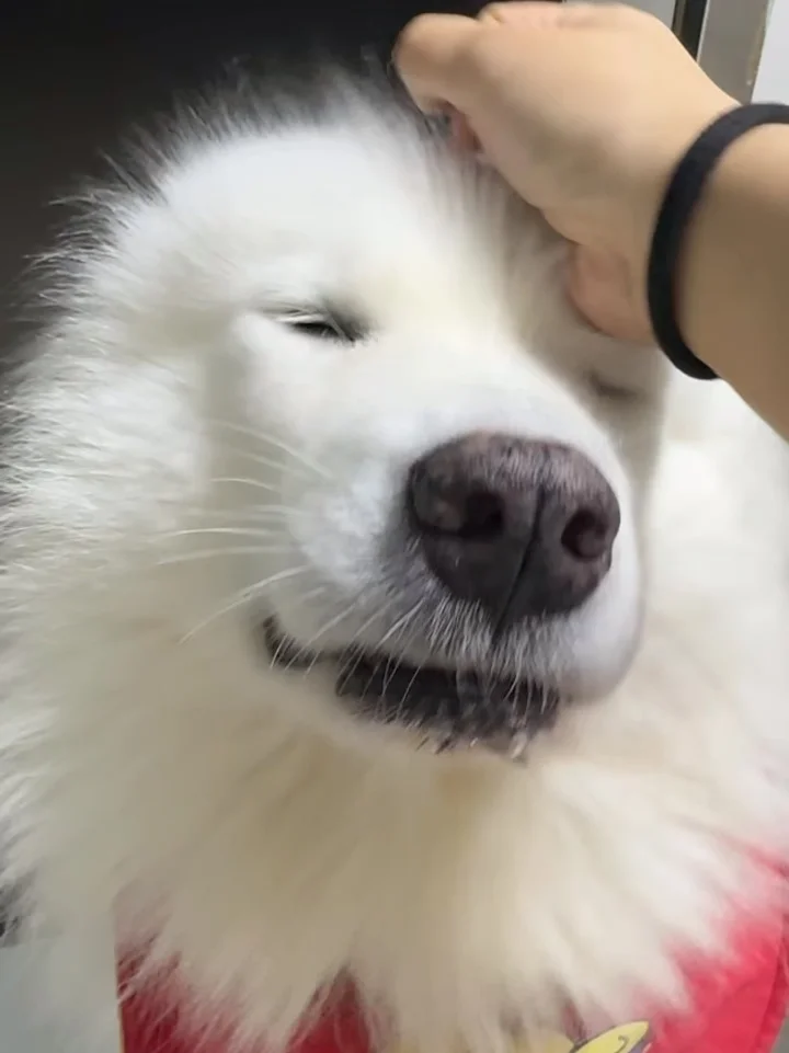 哈哈哈哈哈