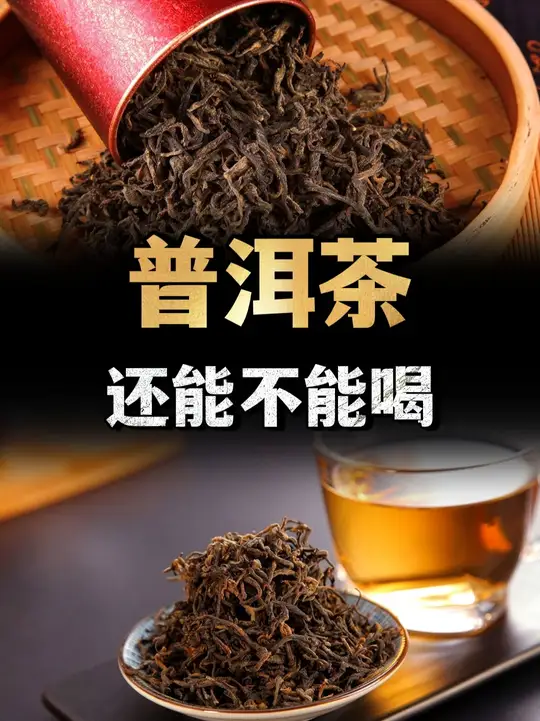 一克熟茶五亿霉菌，喝熟茶等于喝脏水？普洱茶还能不能喝？ （3）