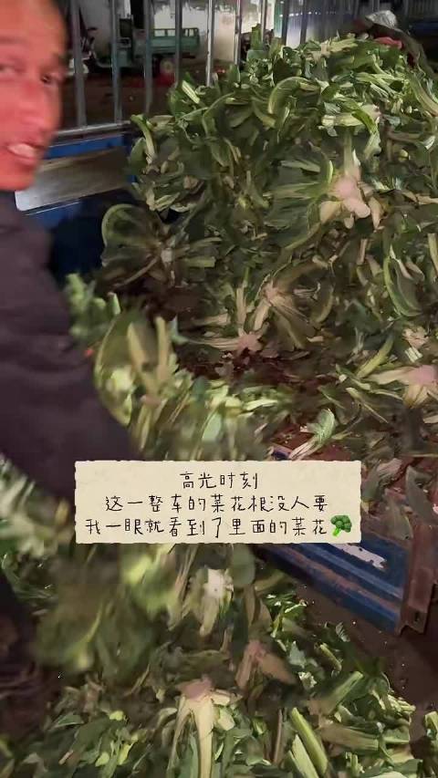 我的火眼金睛，直接白捡一个大菜花   ​​​