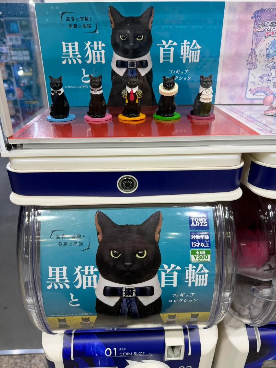 最近的个人扭蛋大赏