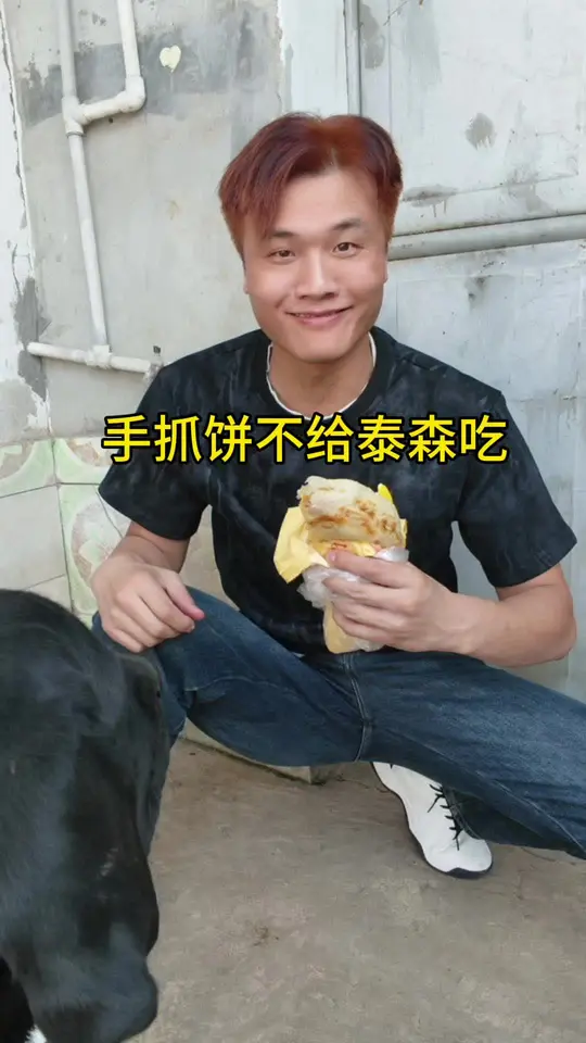 手抓饼不给泰森吃，气不气啊泰森