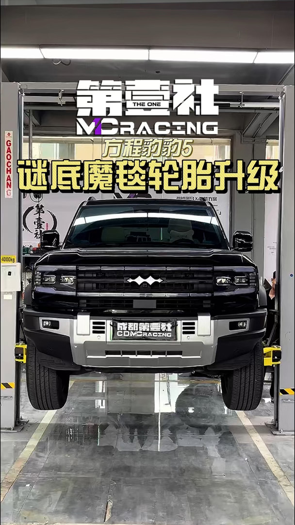 素车豹5也能拥有饱满轮眉，轮胎升级案例