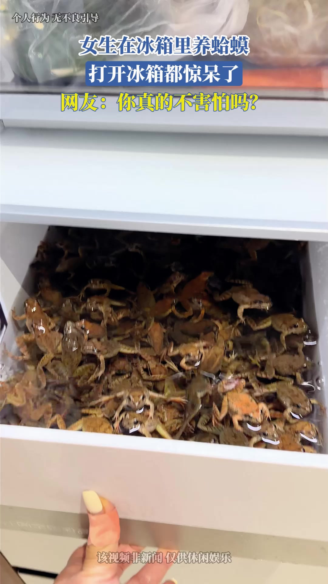 女生在冰箱里养蛤蟆，打开冰箱都惊呆了，网友：你真的不害怕吗？