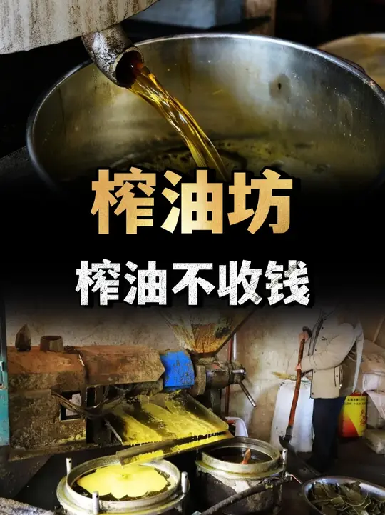 榨油坊榨油不收钱，油渣抵加工费，不起眼的油渣到底有啥用？ （1）