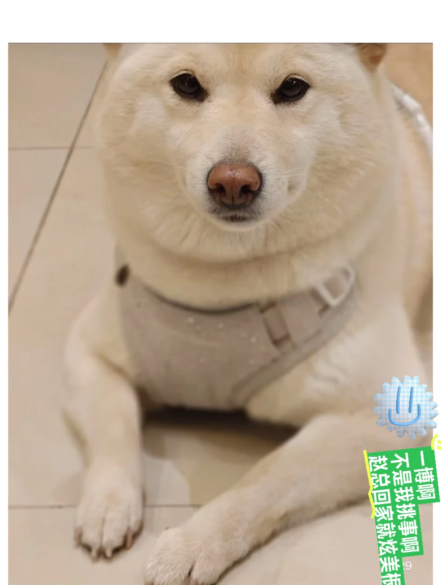 一博啊，不是我挑事，你看赵总