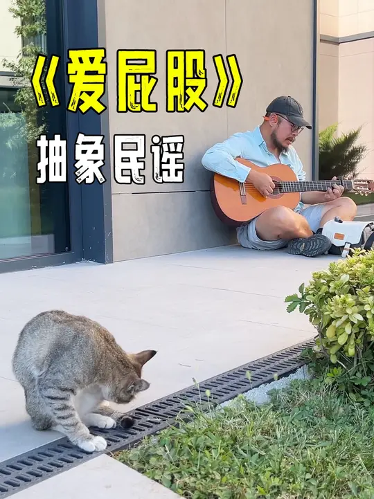这只猫听到我唱《爱屁股》，竟然开始洗屁股了