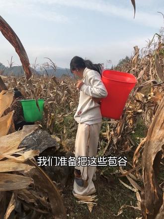 不管了