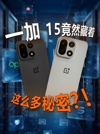 其实，要旗舰体验也可以不用花旗舰的钱