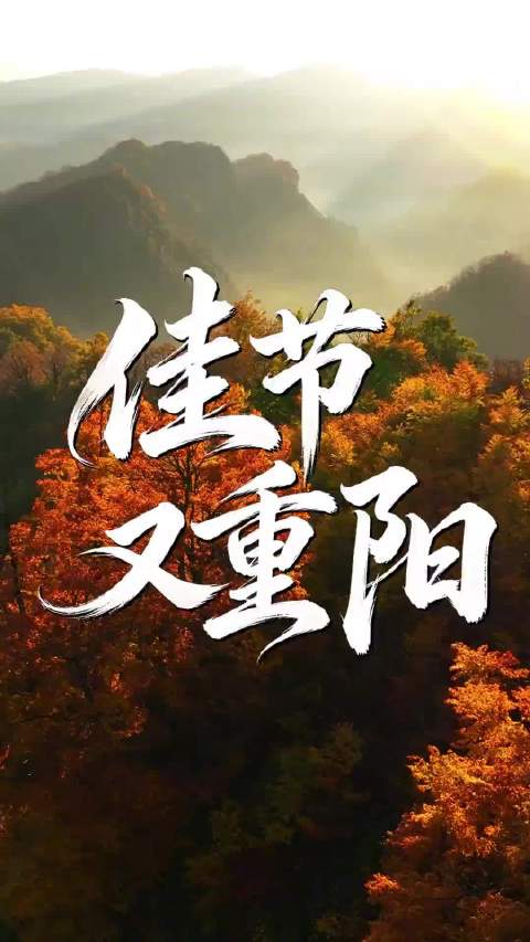 【重阳节最好的祝福是陪伴】人间九月九，又逢重阳秋，与秋风共赏，敬岁月同游，愿亲人常健，盼岁岁安康