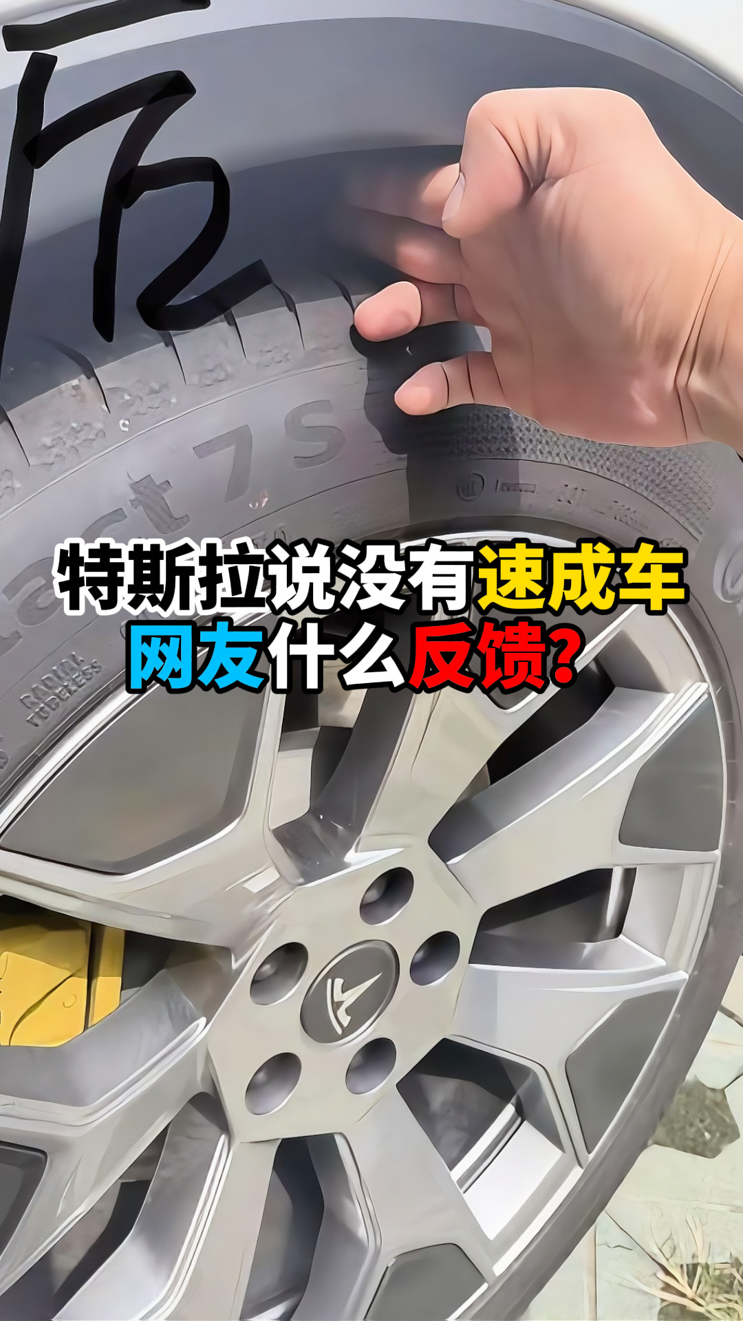 特斯拉说没有速成车网友什么反馈？