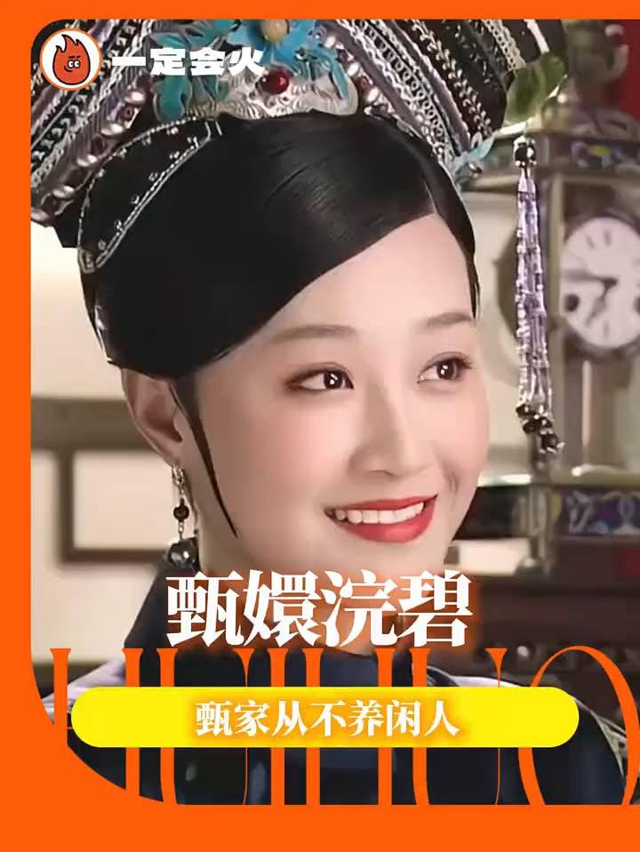 没有你们这些网友，这甄嬛传我是真看不明白
