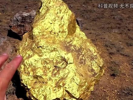 狗头金明明不是纯金，为什么比纯金还贵？捡到后能据为己有吗？ （1）