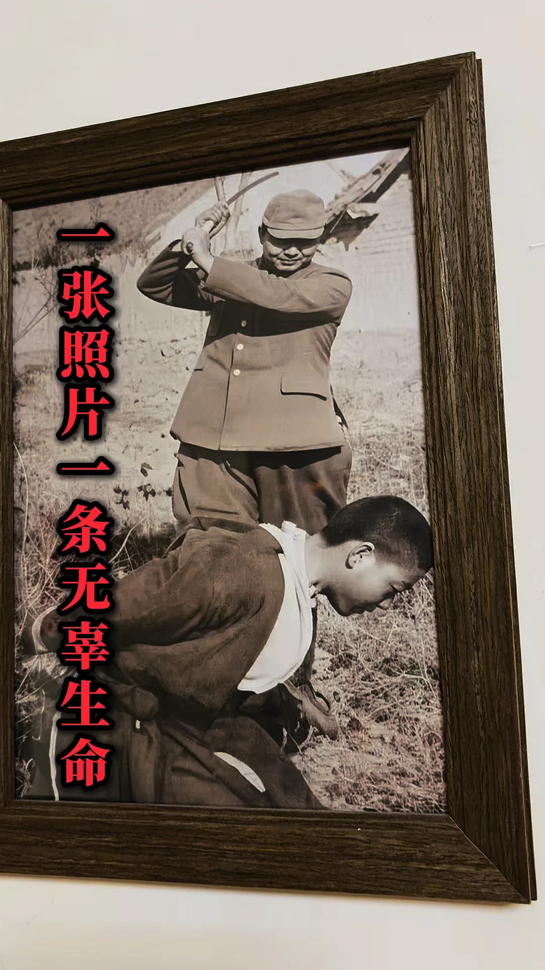 一张照片一条无辜生命