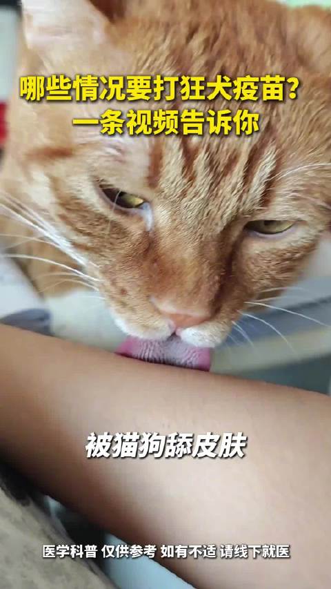 #一个视频看懂哪些情况要打狂犬疫苗#【别侥幸！#遇到这类接触动物情况立刻就医打狂犬疫苗#】在跟动物接