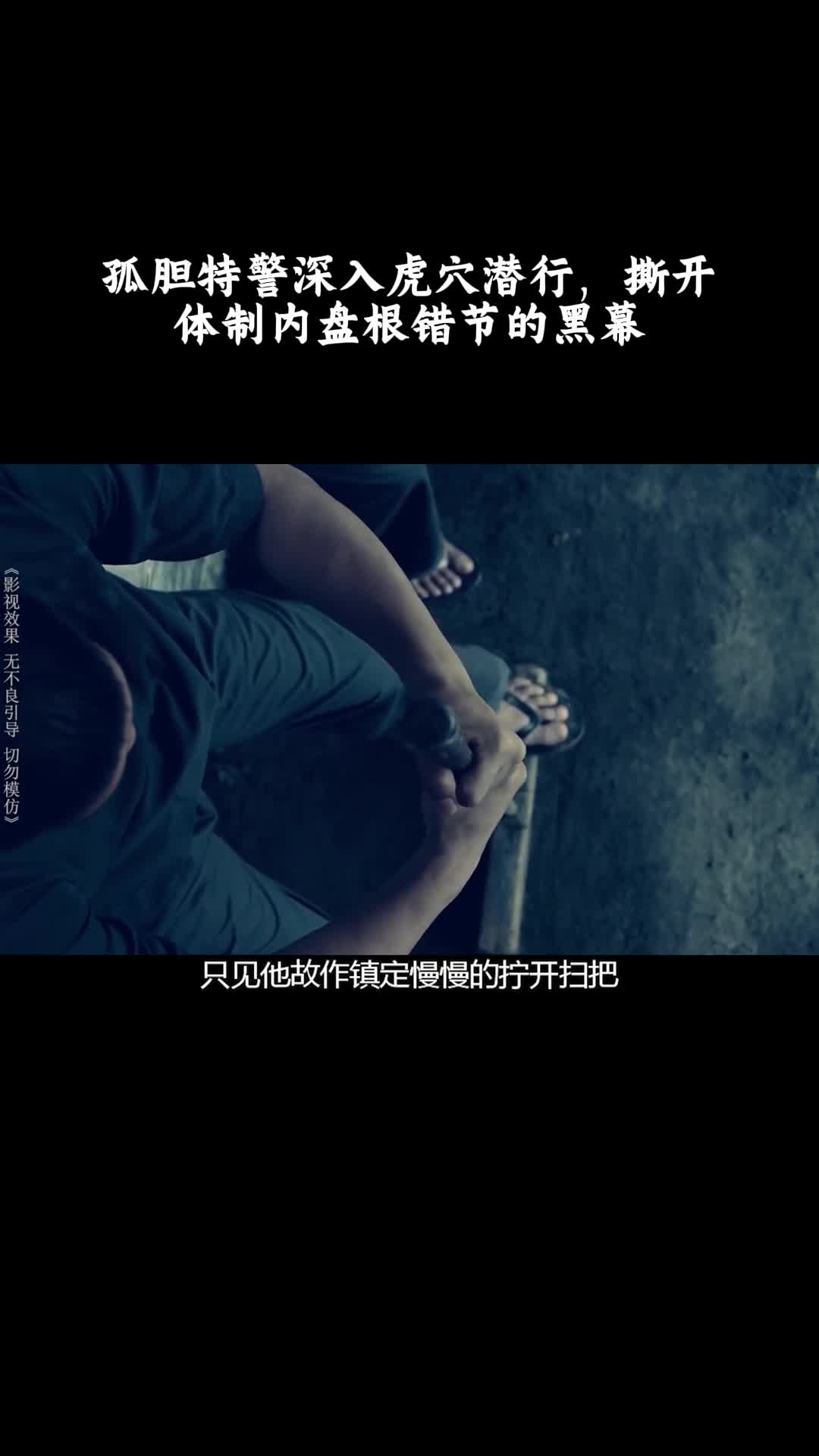 突袭2：暴徒：孤胆特警深入虎穴潜行，撕开体制内盘根错节的黑幕