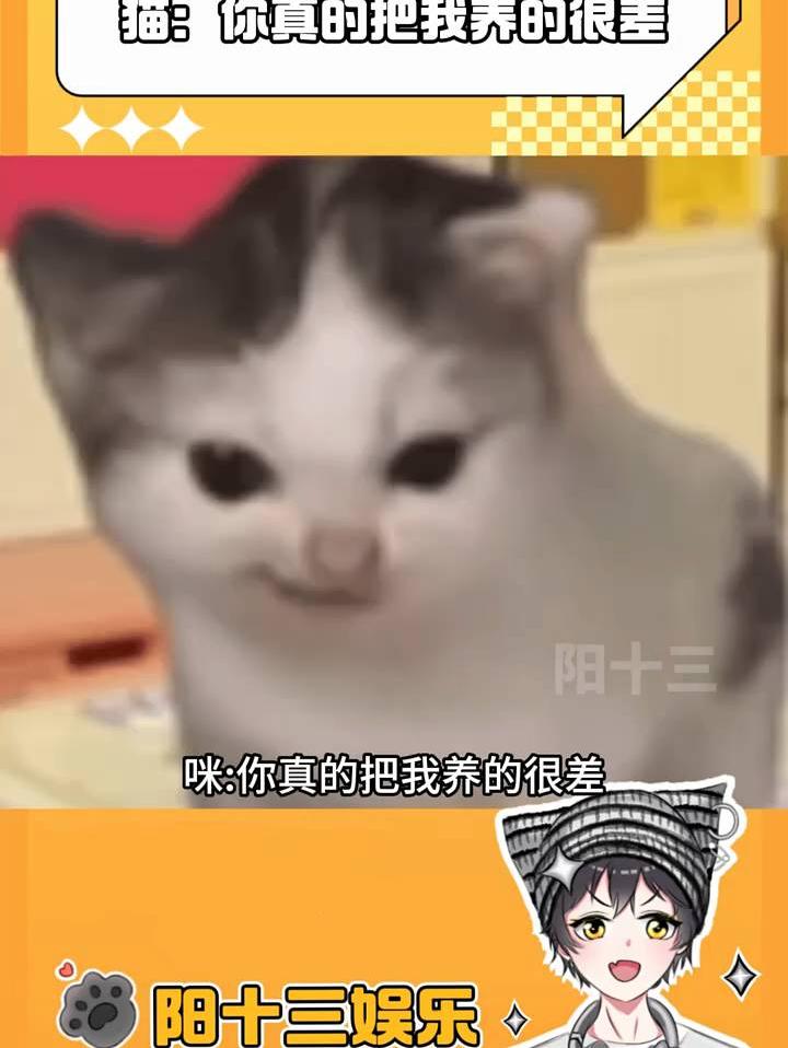 咪：那些说父母会给孩子拖底的给我站出来