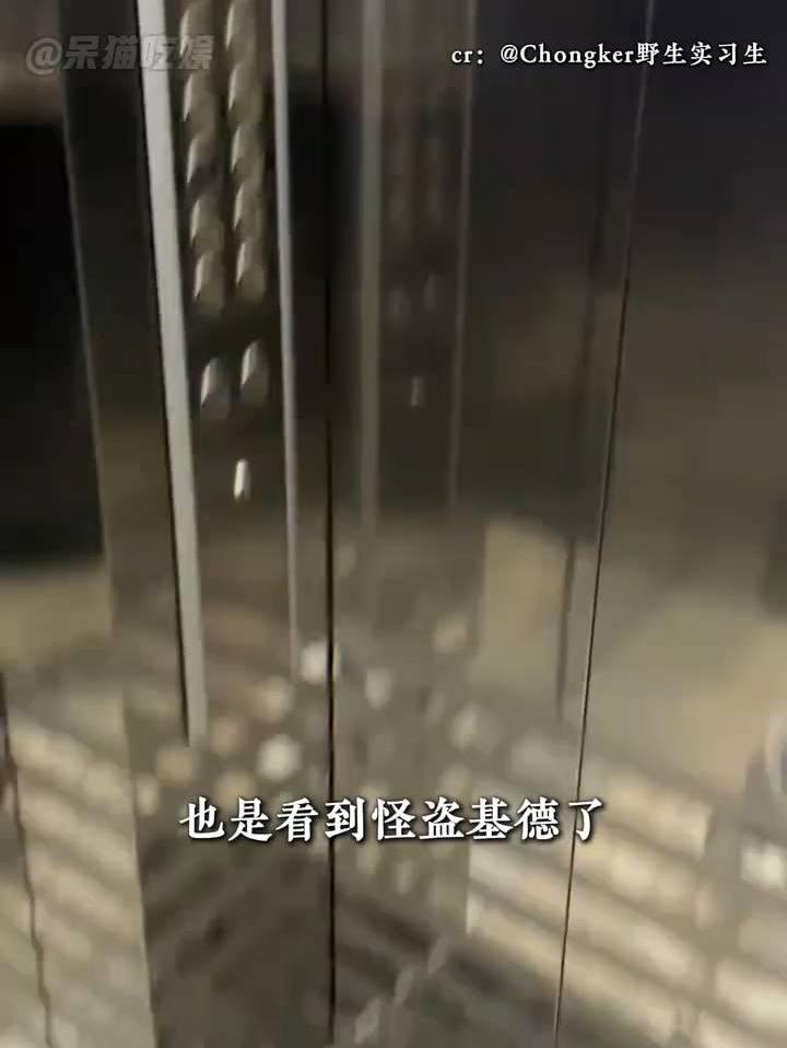 猫咪：不知豆，没人收我钱