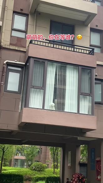 这个社会连狗都活的那么压抑，自由呢？😂
