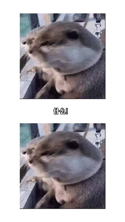 #一分钟精选视频扶持计划# 玩懂之后直接上头