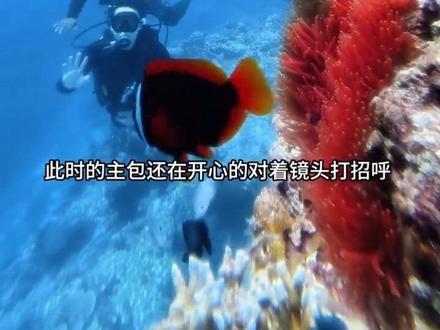 平替👟👔找他👉 教练是我不听话