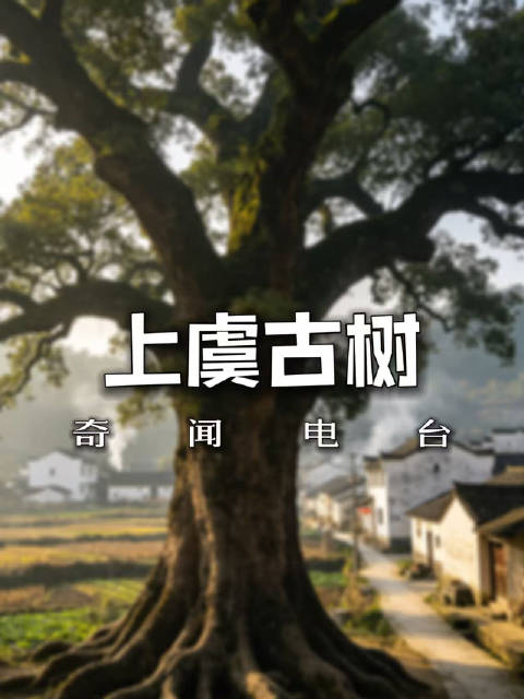 古村大树留下的民间传说，民间旧事藏着最实在的道理 偶然去到外婆小时候生活的上虞村落，听到当地流传下来