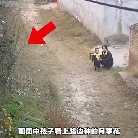 这种养育方式，孩子长大后到社会寸步难行